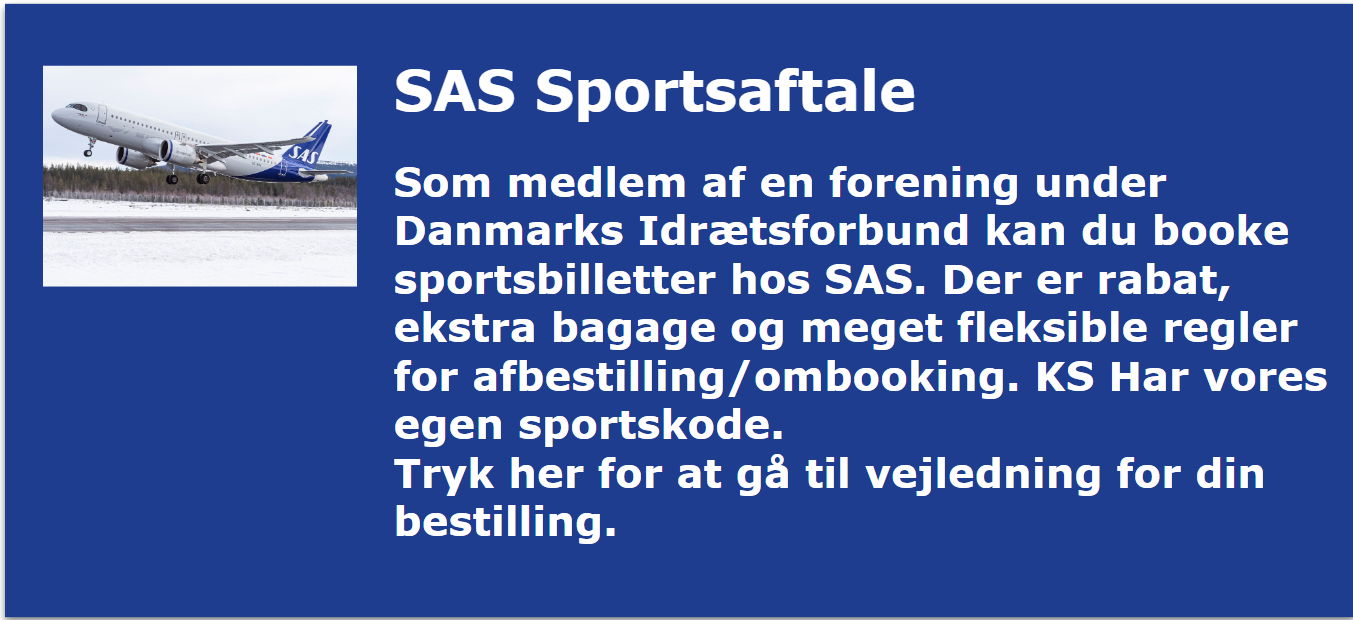 Skærmbillede20241011101258.png